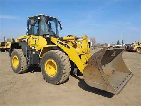 Wheel Loaders Komatsu WA250