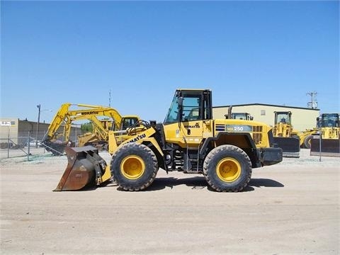 Cargadoras Sobre Ruedas Komatsu WA250