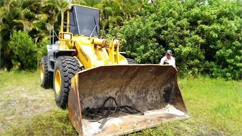 Wheel Loaders Komatsu WA320