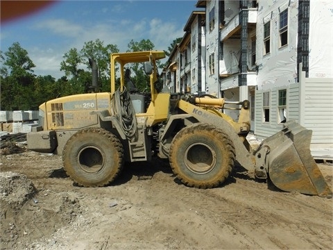 Cargadoras Sobre Ruedas Komatsu WA250