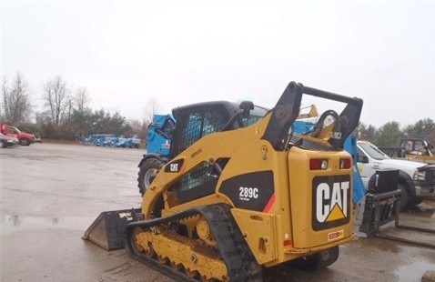 Miniloaders Caterpillar 289C