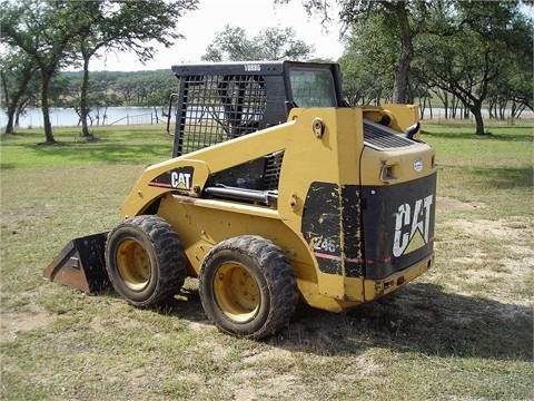 Minicargadores Caterpillar 246