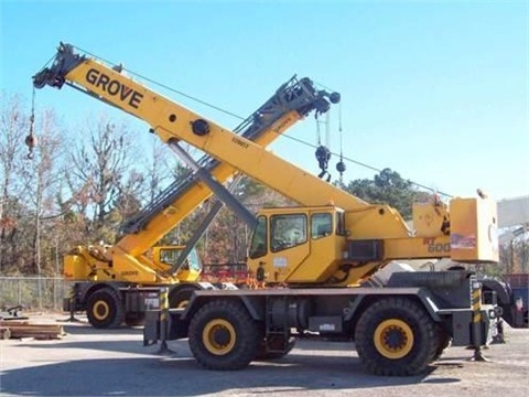 Cranes Grove RT650E