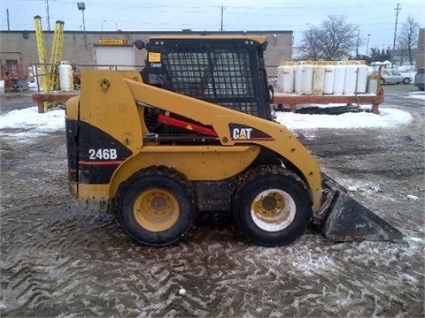  Caterpillar 246B en venta, usada Ref.: 1393364195536283 No. 2