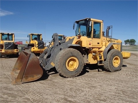 Wheel Loaders Volvo L110E