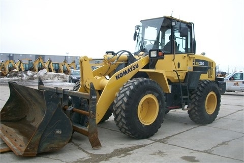 CARGADORAS KOMATSU WA250 en venta, usada Ref.: 1394219612757052 No. 2