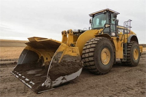 Cargadoras Sobre Ruedas Caterpillar 980