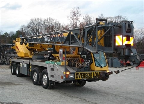 Cranes Grove TMS800E