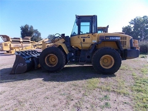 Cargadoras Sobre Ruedas Komatsu WA250