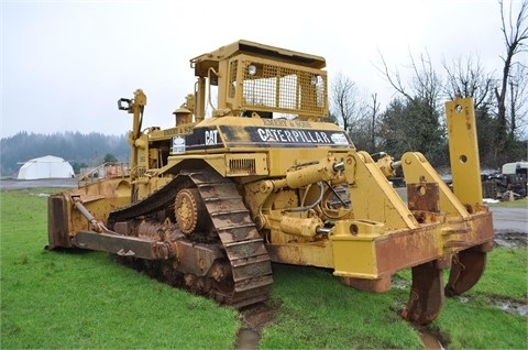 Dozers/tracks Caterpillar D8N