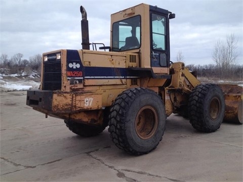 Cargadoras Sobre Ruedas Komatsu WA250