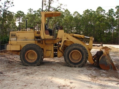 Cargadoras Sobre Ruedas Komatsu WA250