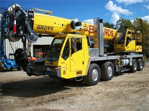 Cranes Grove TMS9000E