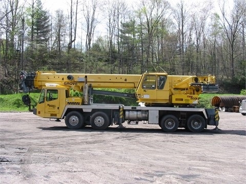 Cranes Grove TMS900E