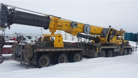 Cranes Grove TMS9000E