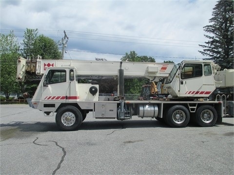 Gruas Terex T340