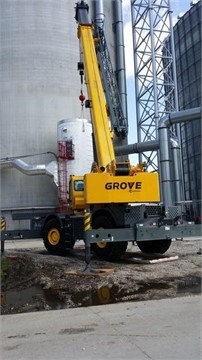 Cranes Grove RT880E