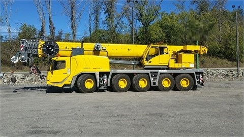 Cranes Grove GMK5165