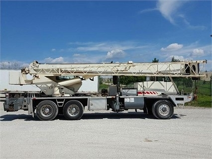 Gruas Terex T335 usada de importacion Ref.: 1473717468485134 No. 4