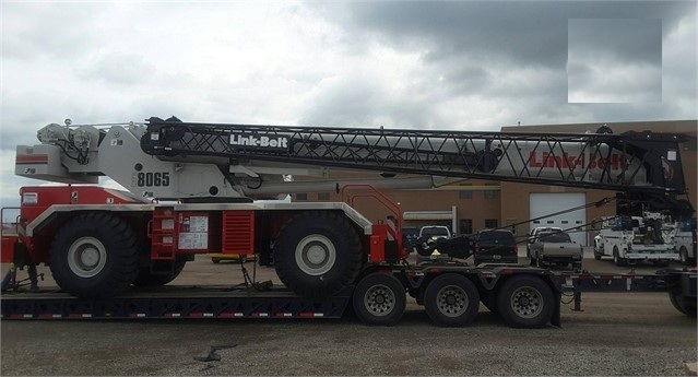 Gruas Link-belt RTC-8065 usada a la venta Ref.: 1498167466014597 No. 2