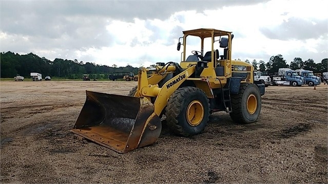 Cargadoras Sobre Ruedas Komatsu WA250