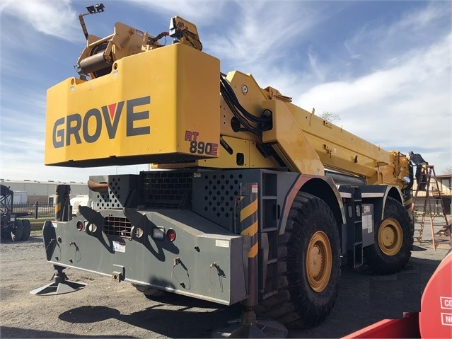 Cranes Grove RT890E