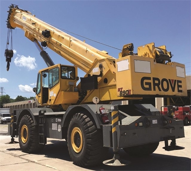 Cranes Grove RT890E