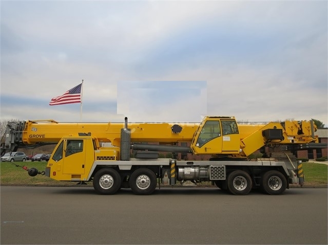 Cranes Grove TMS800E