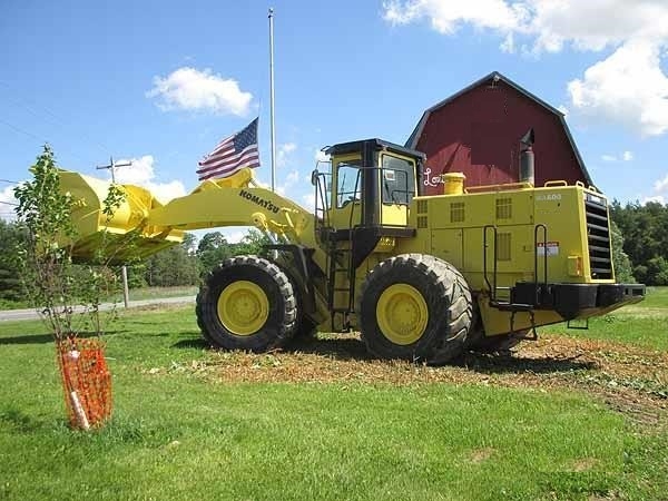 Wheel Loaders Komatsu WA600