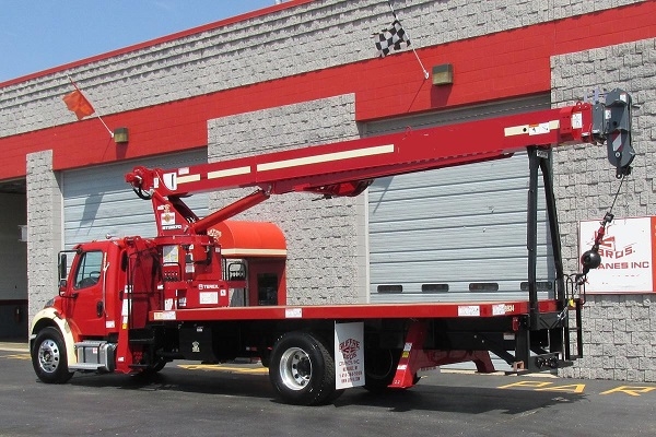 Gruas Terex BT3870 usada a la venta Ref.: 1562622348554440 No. 3