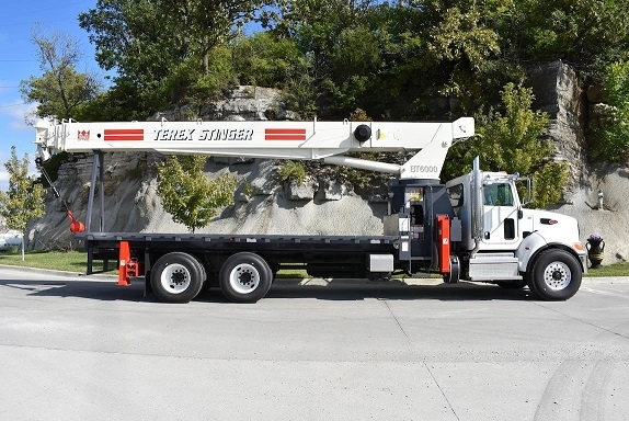 Gruas Terex BT60100 usada a la venta Ref.: 1562688763157735 No. 4