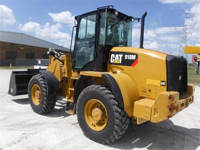 Cargadoras Sobre Ruedas Caterpillar 918 de segunda mano en venta Ref.: 1563402244313737 No. 2