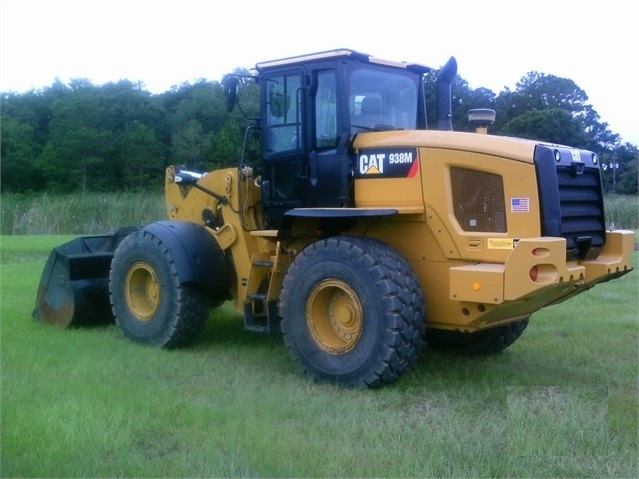 Cargadoras Sobre Ruedas Caterpillar 938 en venta Ref.: 1591997165252414 No. 3