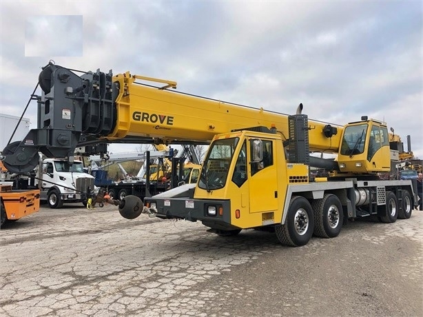 Cranes Grove TMS800E